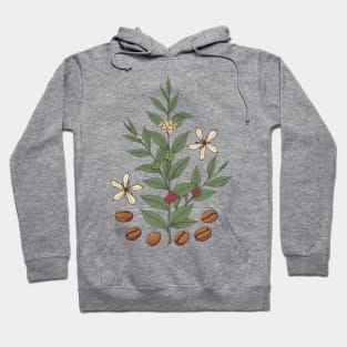 Coffee Tree Hoodie